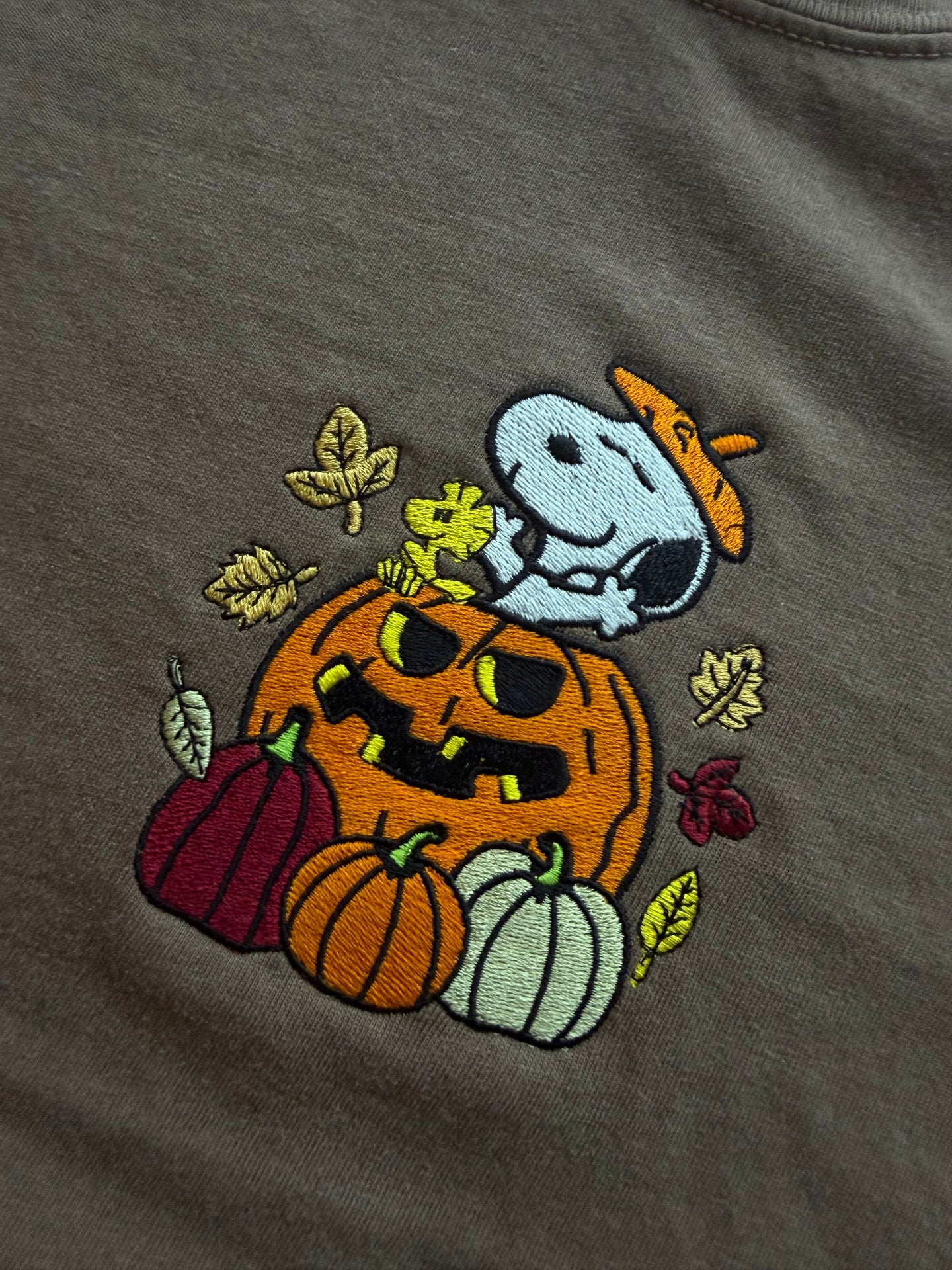 Pumpkin Fun Embroidered Shirt